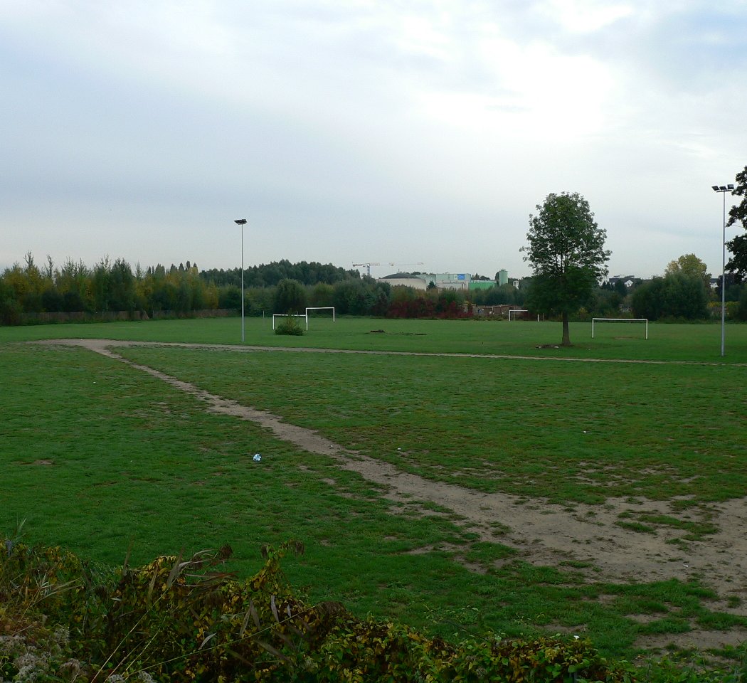TERRAIN DES PIEDS HUMIDES 2